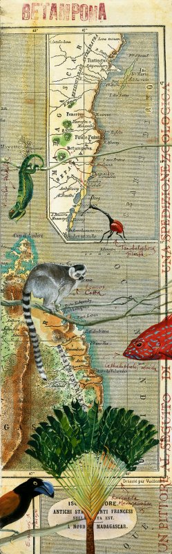 Mappa - Madagascar