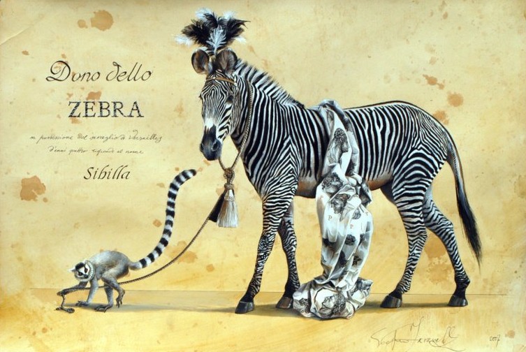Dono dello Zebra Sibilla