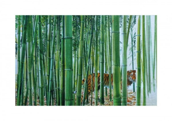 Tigre Amba nel Bambù