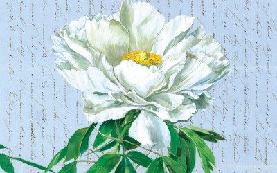peonia-bianca-40-cm-copia.jpg