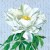 CON GLI OCCHI DI UN'APE  dipingere peonie con Stefano Faravelli